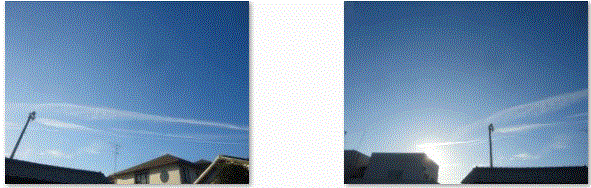 f0231709_9265860.gif