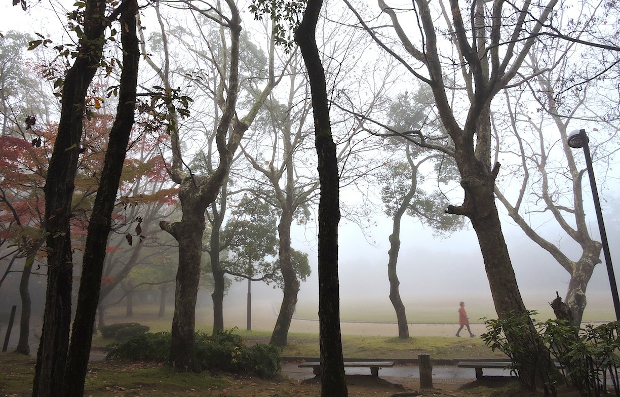 幾久公園2015【208】11月16日（月）_c0078410_9322119.jpg