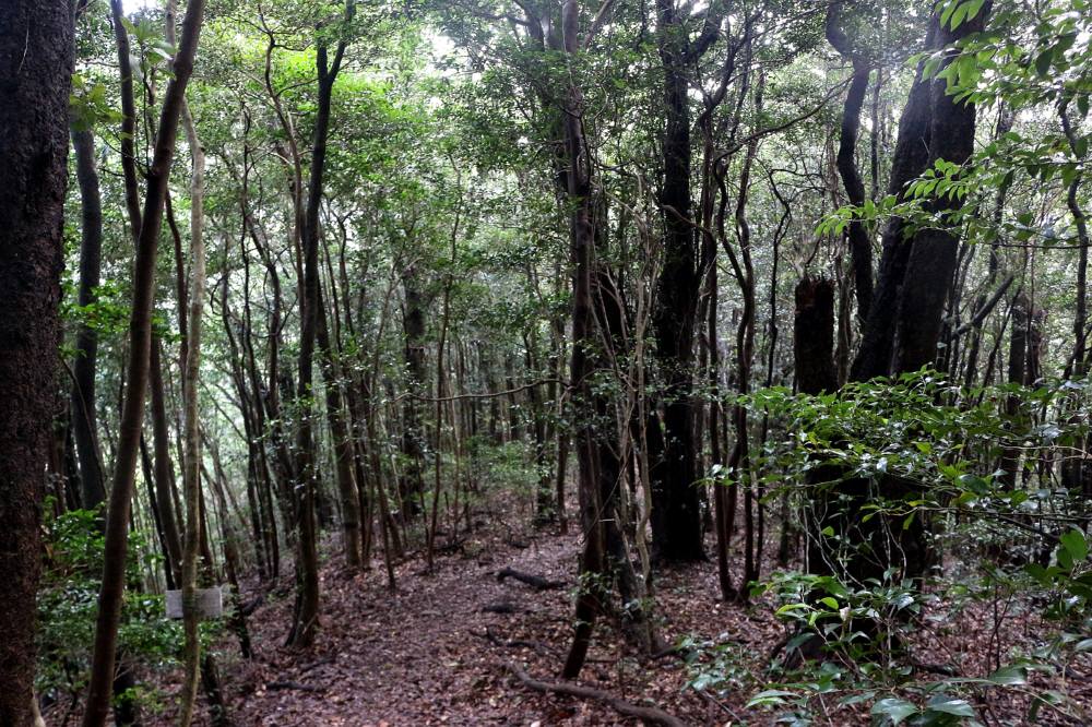 f0212511_21493167.jpg