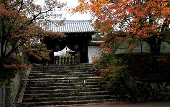 紅葉だより16 曼殊院_e0048413_19152170.jpg