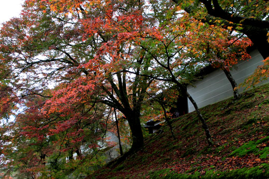 紅葉だより16 曼殊院_e0048413_19155518.jpg