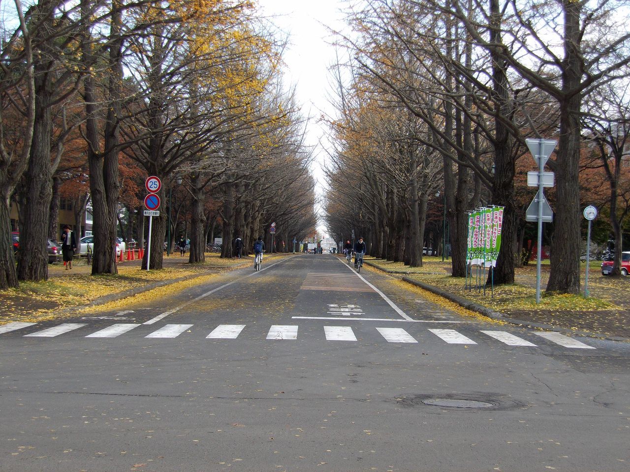 暖かい秋、勉強しましょう_c0025115_18200968.jpg