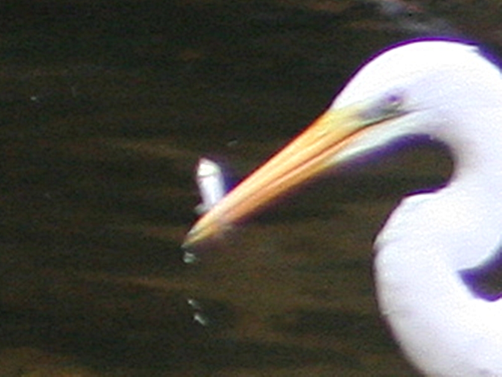 d0181824_13260897.jpg