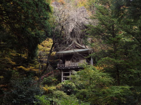 水晶サタニストさんと一緒に_d0045626_21541215.jpg