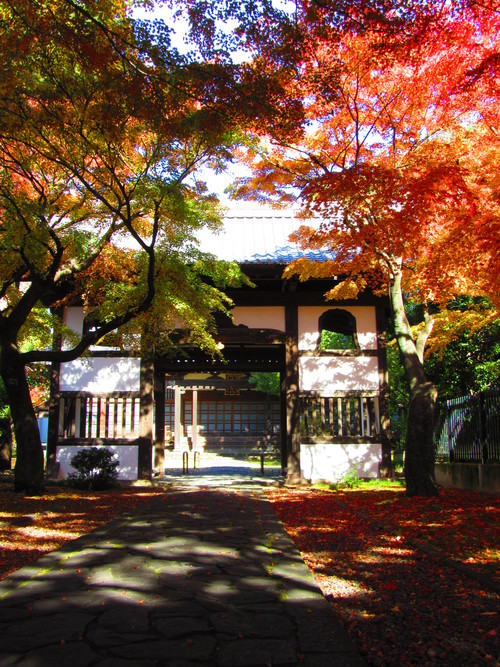 お寺の紅葉_a0248728_20265945.jpg