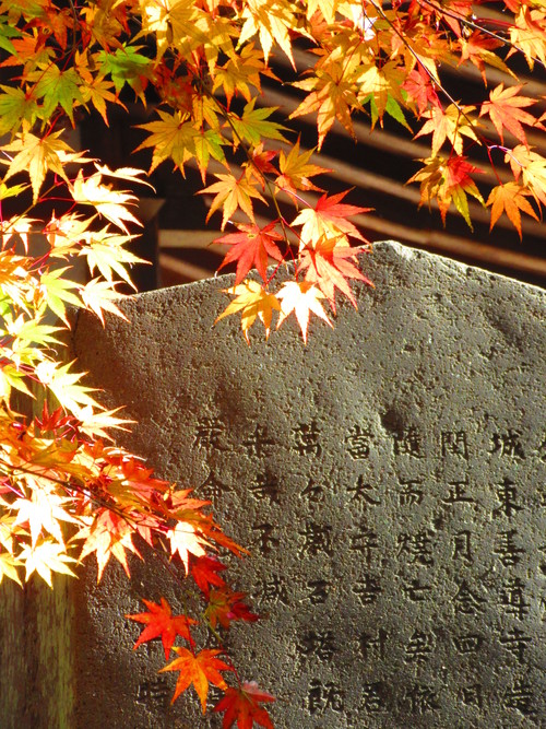 お寺の紅葉_a0248728_21265317.jpg