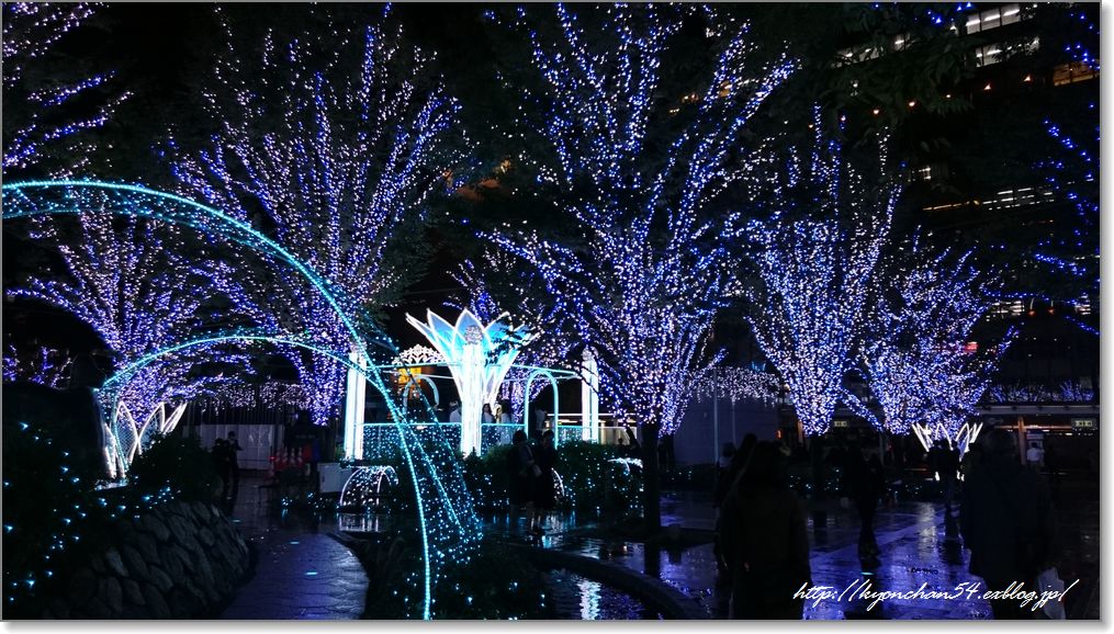 15年クリスマスイルミネーション Have A Nice Day