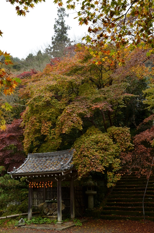 金蔵寺　Konzoji Temple_a0290739_0245493.jpg