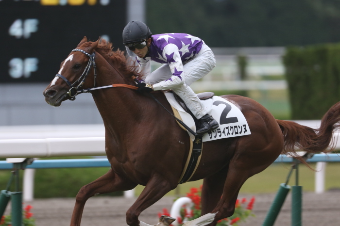 15 デイリー杯2歳s みっちぃの競馬写真ブログ 15 デイリー杯2歳s みっちぃの競馬写真ブログ