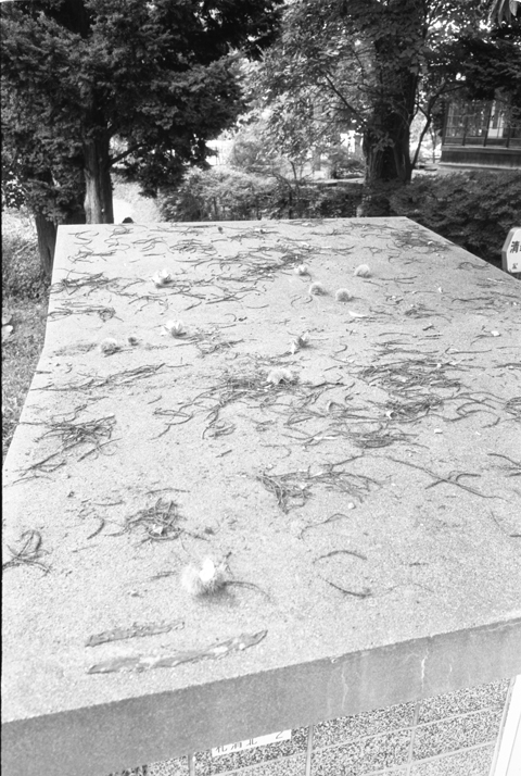 f0321847_18364444.jpg