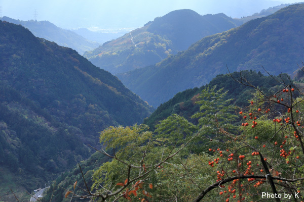 c0127748_20284756.jpg