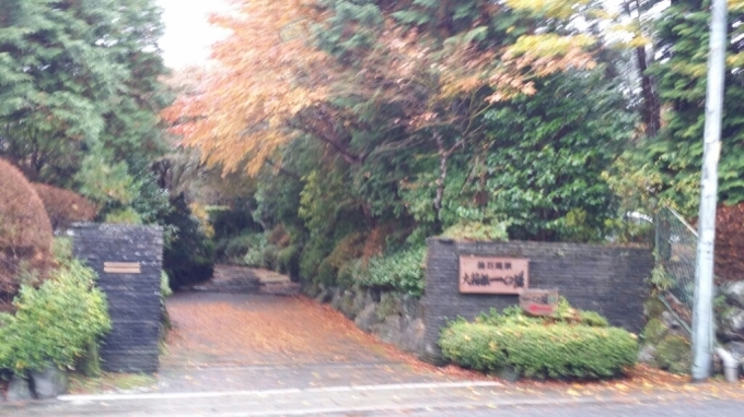 f0046854_20482572.jpg