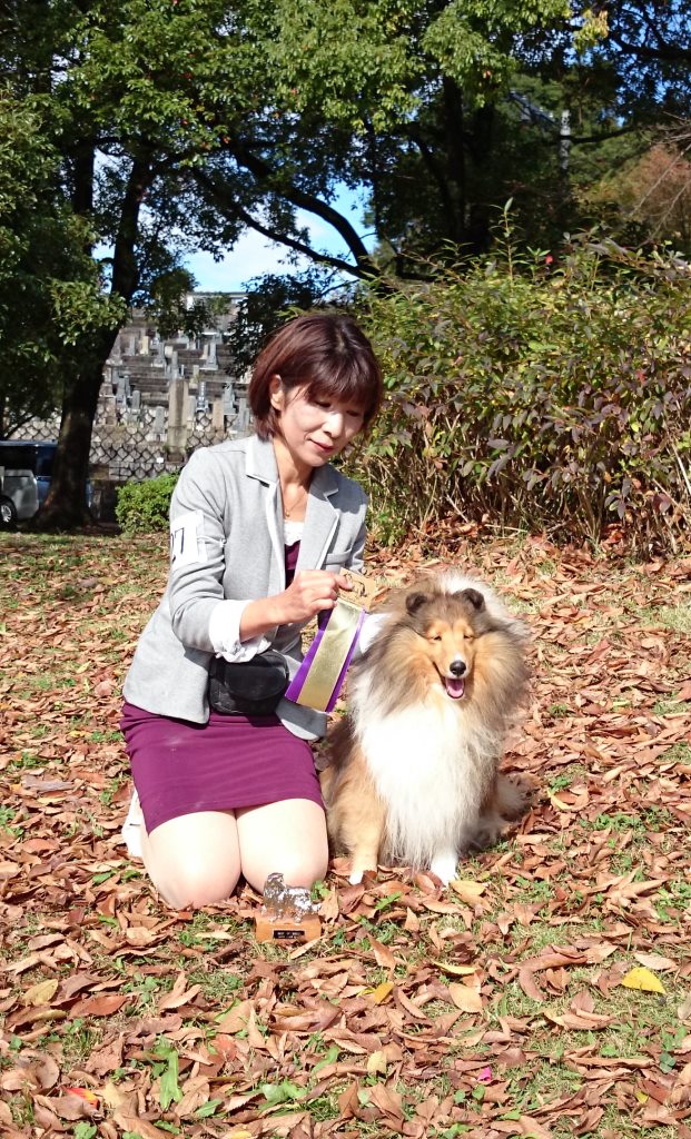 11.15(日) JCC Aichi_a0139367_23104241.jpg