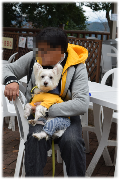 b0242873_20282936.png