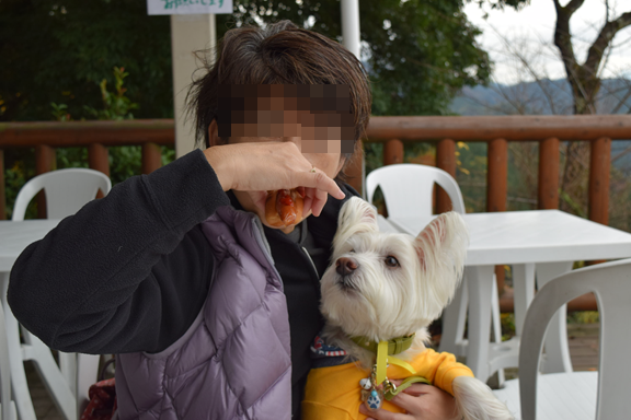 b0242873_20521156.png