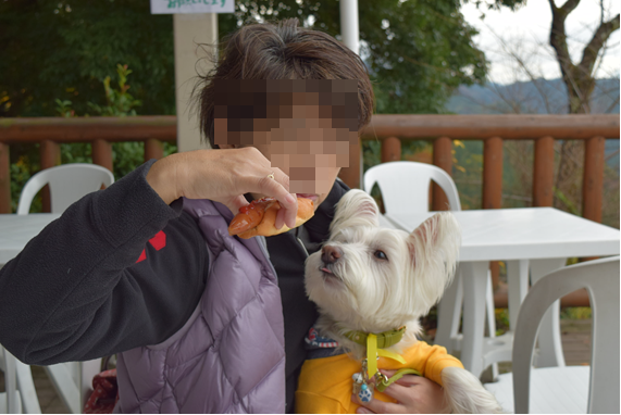 b0242873_20534332.png