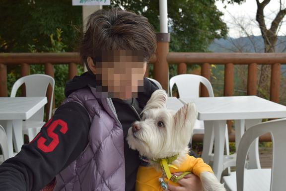 b0242873_20541583.png