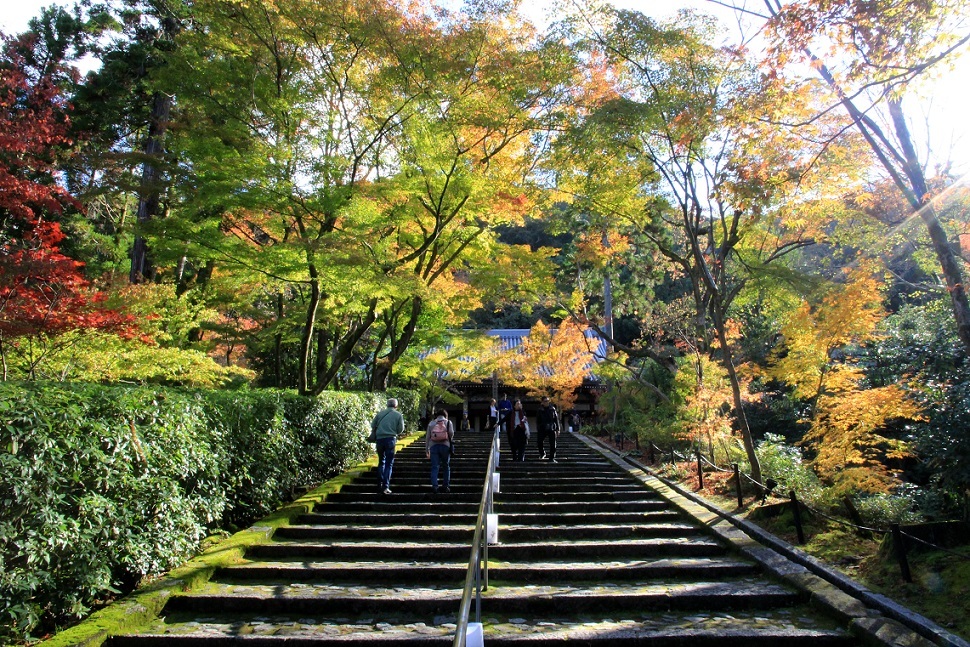 散る美学 ~永観堂の紅葉~_a0107574_17034250.jpg