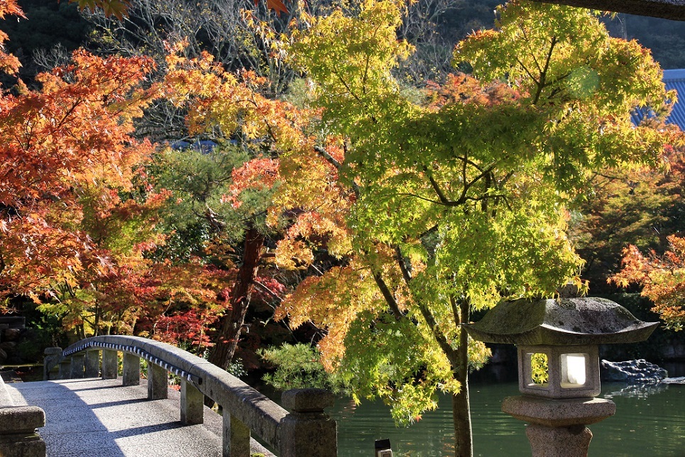 散る美学 ~永観堂の紅葉~_a0107574_17035375.jpg