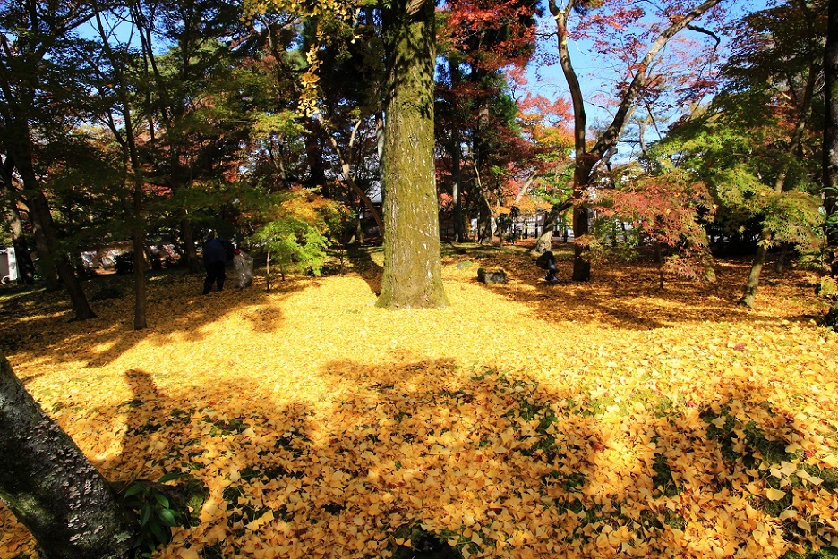 散る美学 ~永観堂の紅葉~_a0107574_17051234.jpg