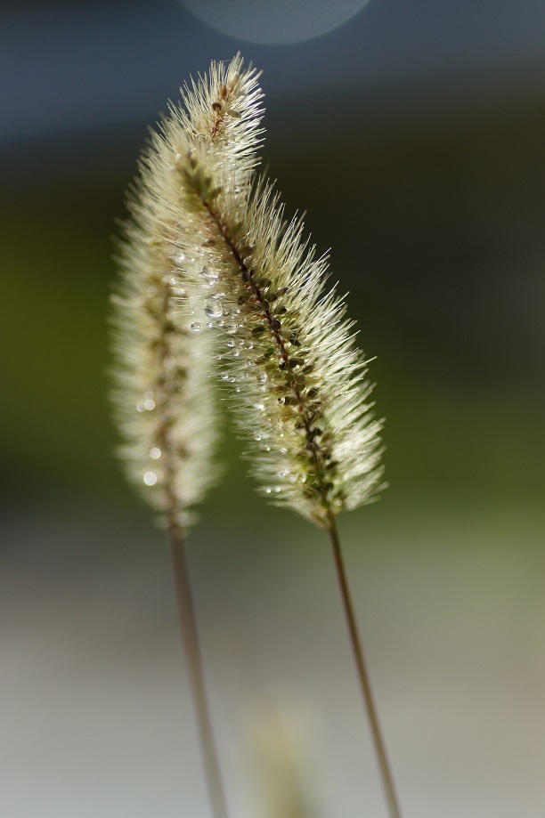 e0344574_09365100.jpg