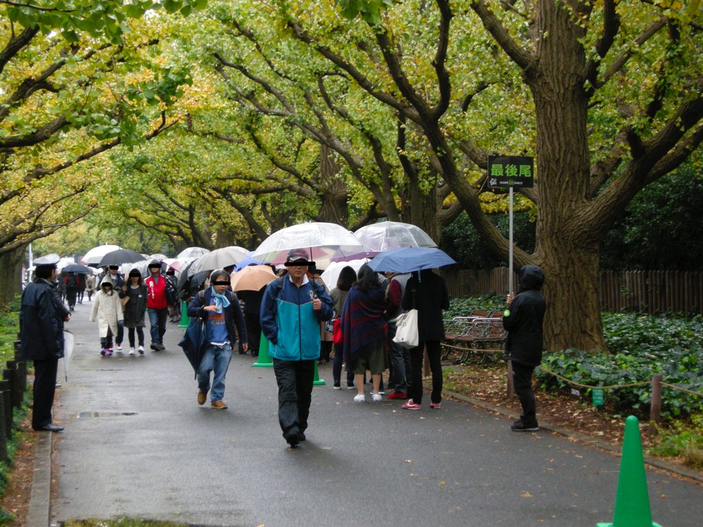 シェイクシャック（Shake Shack） 訪問記 （感想・レポート）_c0124076_0245672.jpg