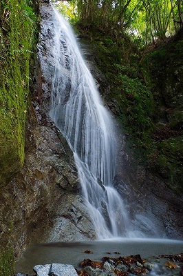 c0324983_23005844.jpg