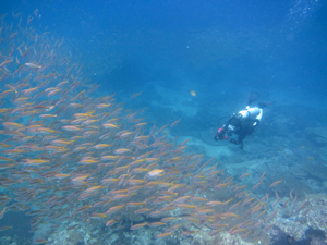 海況もばっちり♪_f0144385_21134473.jpg