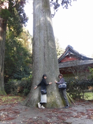 一畑結縁の道 灯りめぐり & 鰐淵寺紅葉まつり_b0231886_15484845.jpg