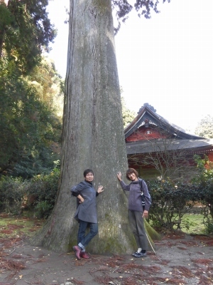 一畑結縁の道 灯りめぐり & 鰐淵寺紅葉まつり_b0231886_15490768.jpg