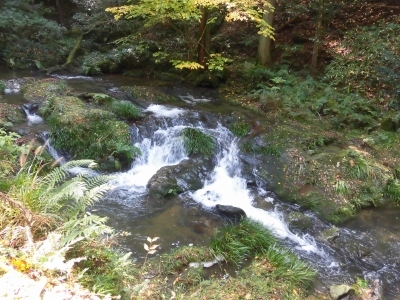 一畑結縁の道 灯りめぐり & 鰐淵寺紅葉まつり_b0231886_15501450.jpg