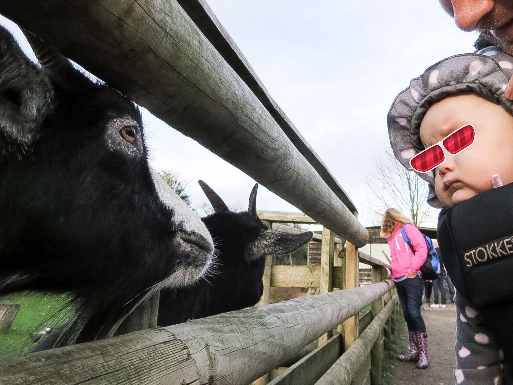 Wingham Wildlife Parkへ行ってきた。_b0228988_18501064.jpg