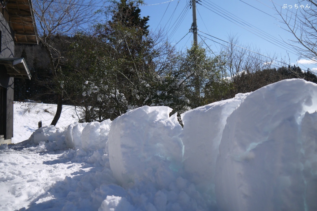 今年はどうなる！？_f0353990_19222514.jpg