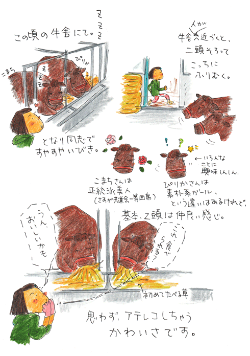 f0236291_541405.gif
