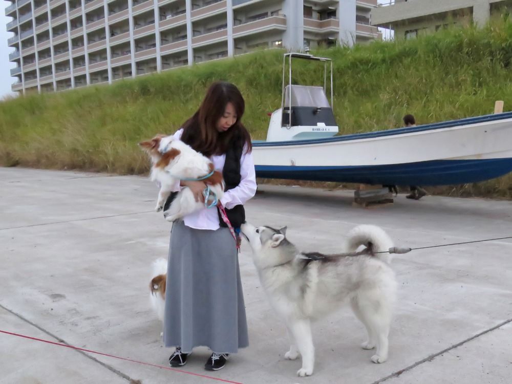 気の合う仲間と小粋なひととき♪　(*^_^*)_c0049299_21472100.jpg