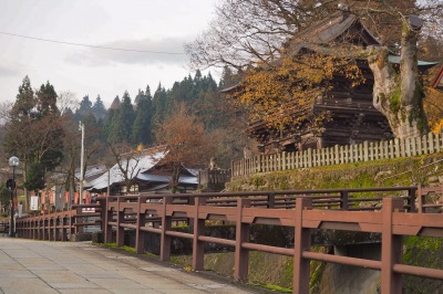 朝の落ち葉掻き_c0336902_9261311.jpg