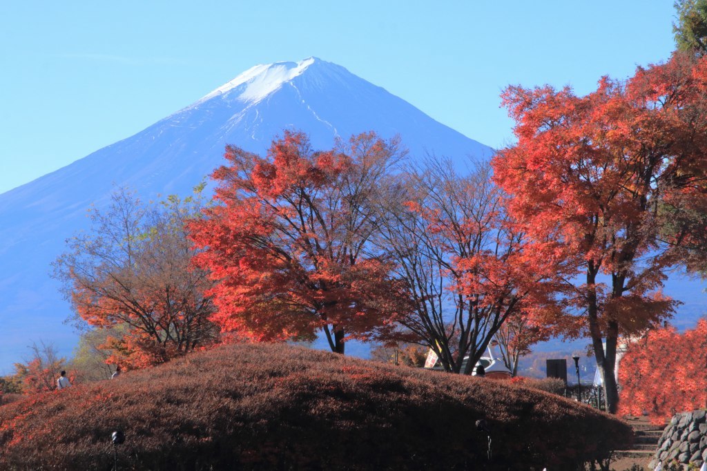 河口湖もみじ祭り～_a0188405_00421278.jpg