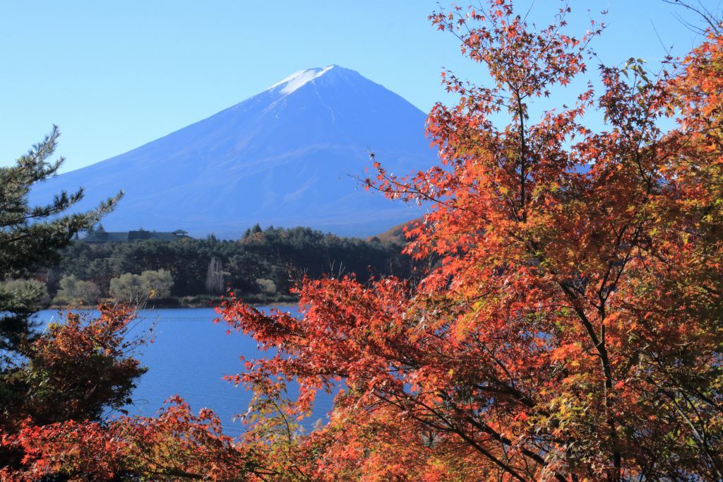 河口湖もみじ祭り～_a0188405_00423660.jpg