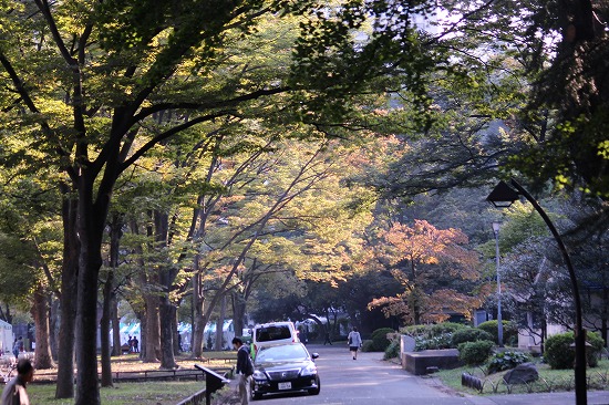 日比谷公園で菊まつりを見ました_e0255509_213440.jpg