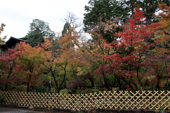 紅葉だより19　永観堂_e0048413_1939364.jpg