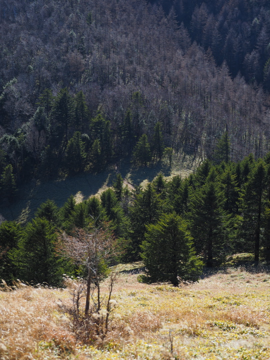 b0244424_1113118.jpg