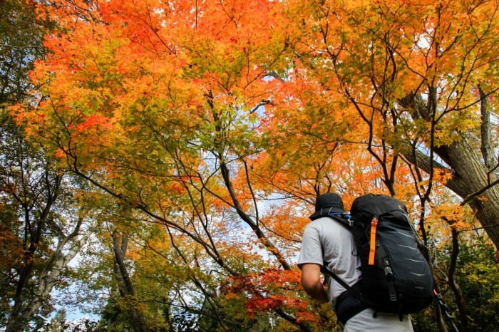 TRIP BLOG 3 // 11-Day Japanese adventure & cultural experience 【16.10.14】_d0112928_03104670.jpg