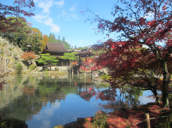 11月10日(火)元気クラブのみなさんと秋の紅葉ウォーキング_d0010630_09550751.jpg