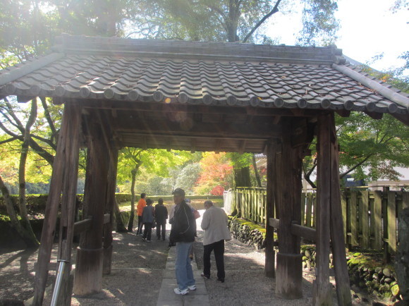 11月10日(火)元気クラブのみなさんと秋の紅葉ウォーキング_d0010630_09562982.jpg