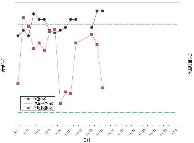 11月17日 (記録)_f0297633_2242457.jpg