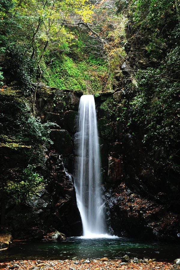 有馬温泉「鼓ヶ滝｝_d0148541_21554130.jpg