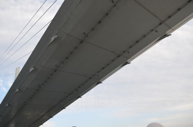 e0098241_943474.jpg