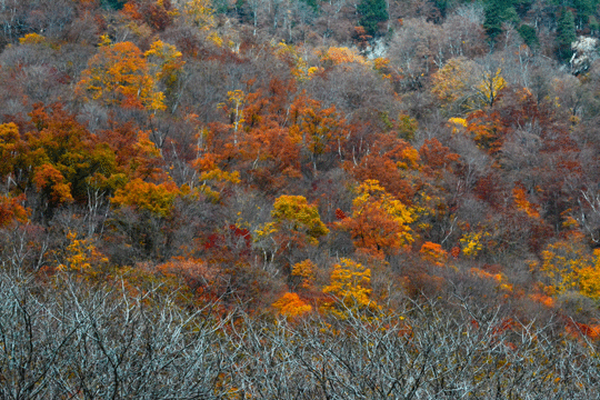 c0093046_19345570.gif