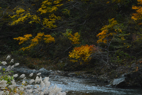 c0093046_19351169.gif