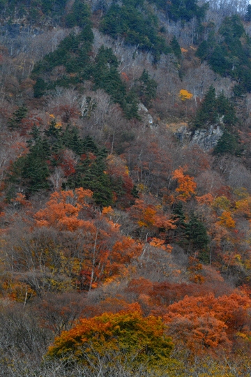 c0093046_19352769.gif